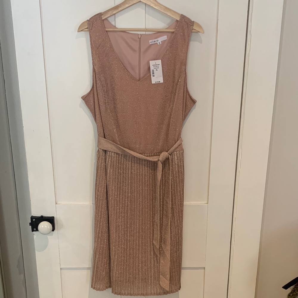 Elegant Cleo Sleeveless Formal Dress